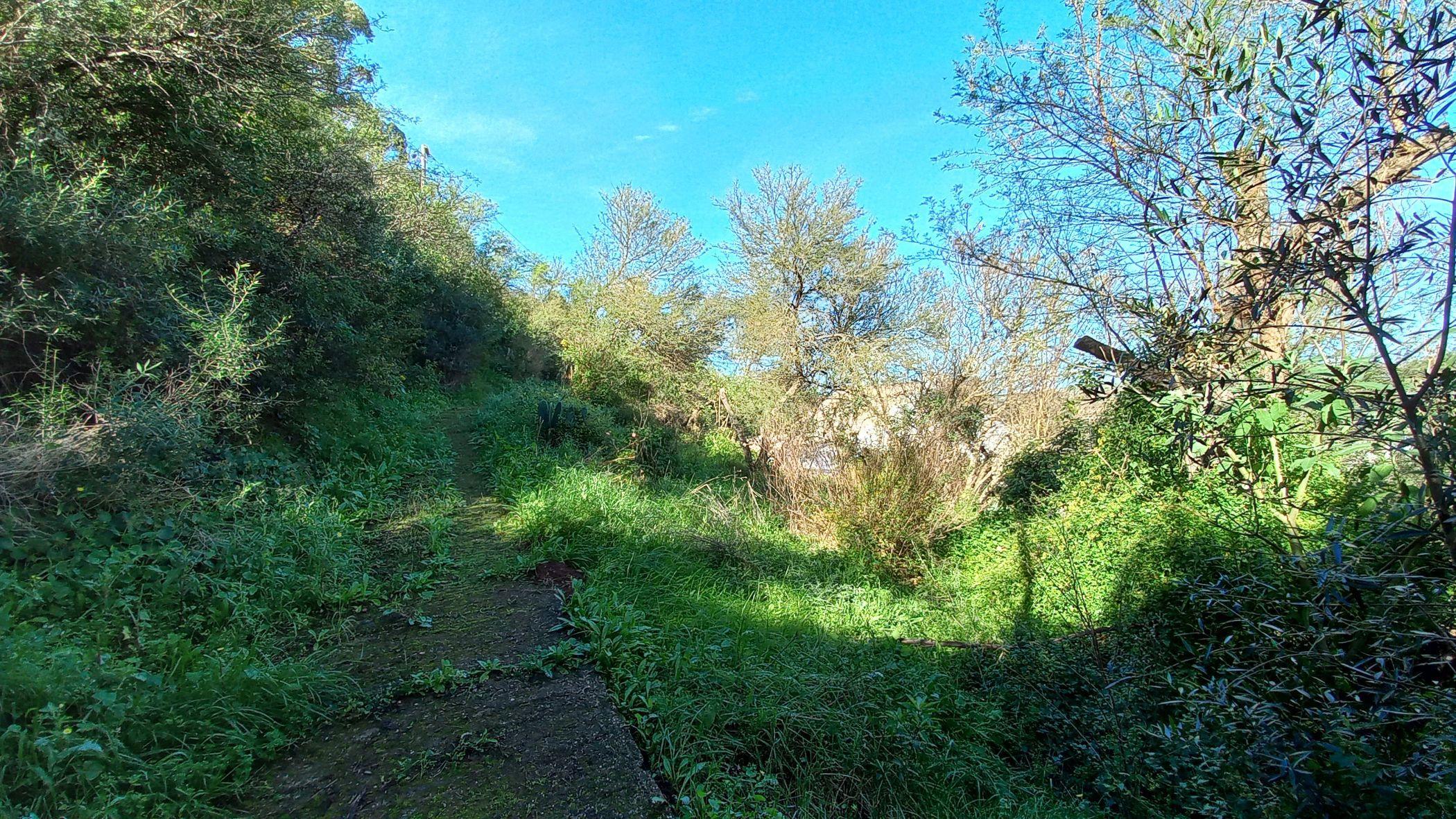 Image 50