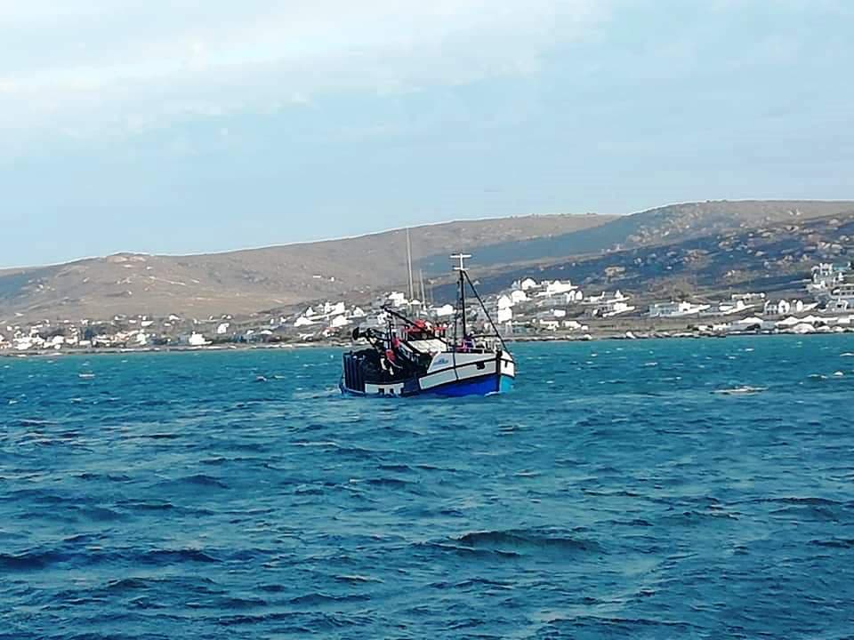 Image 14