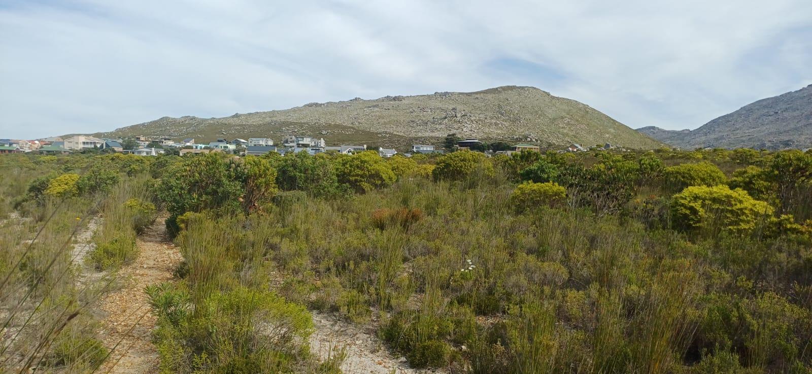 Image 5 of 6