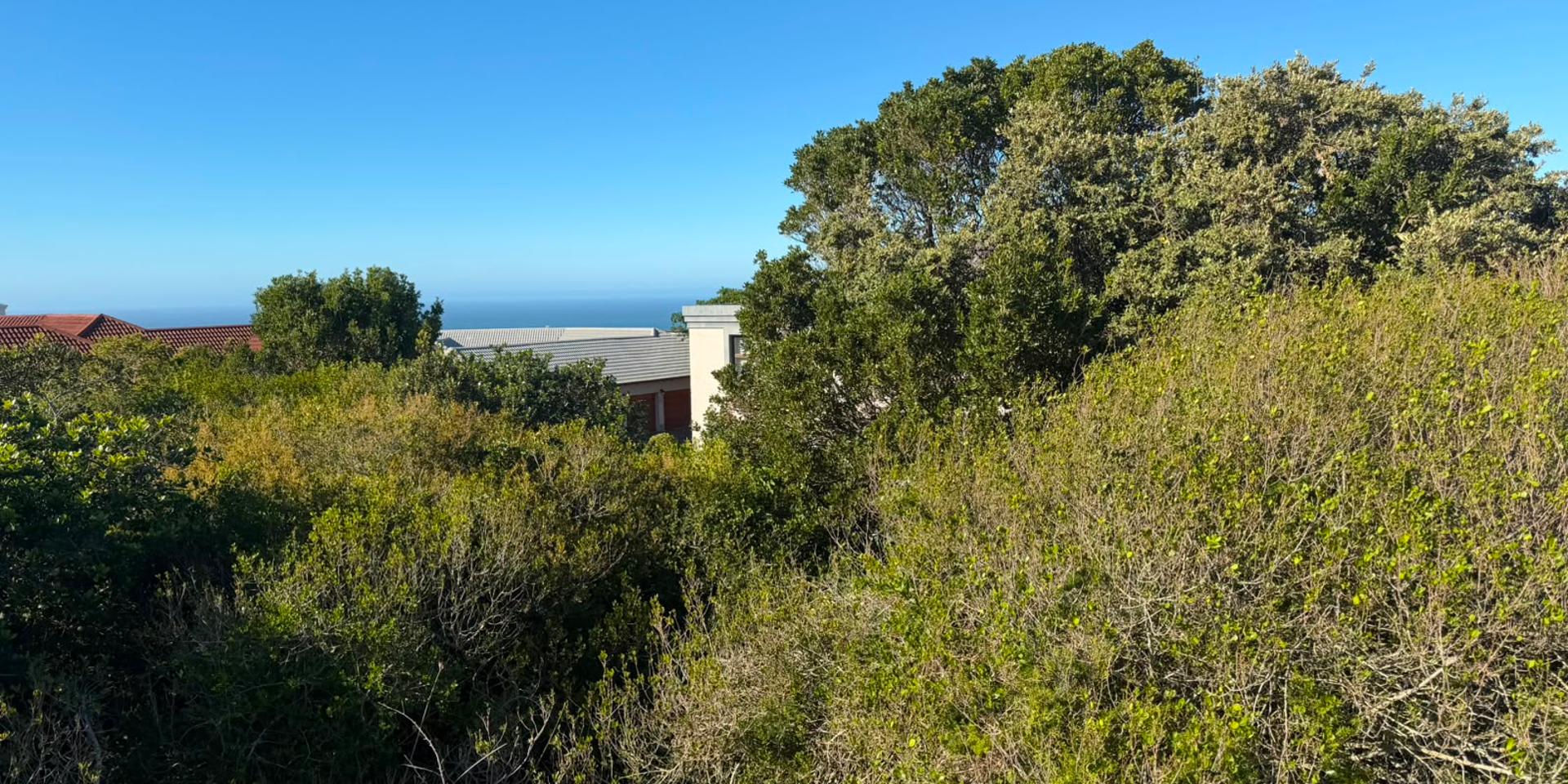 Image 4 of 6
