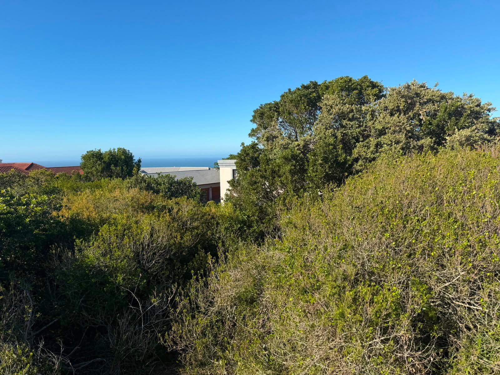 Image 4 of 6