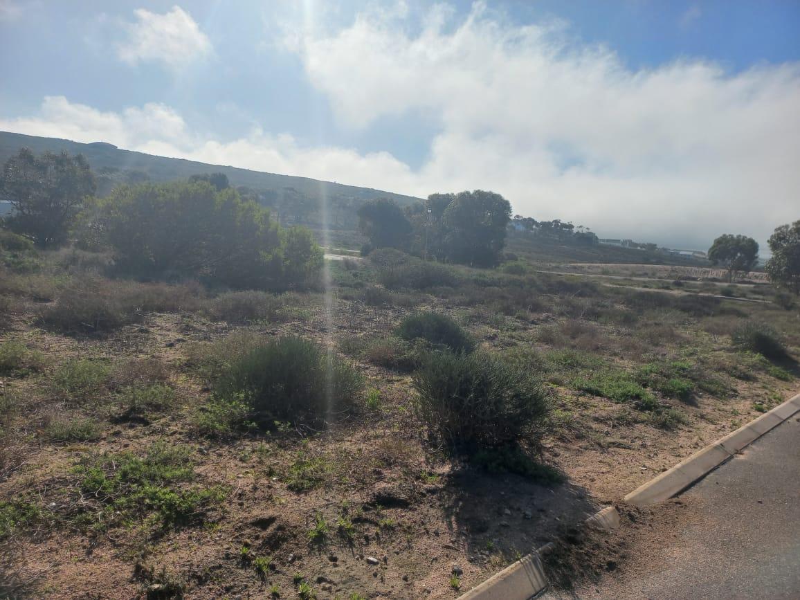 Image 10