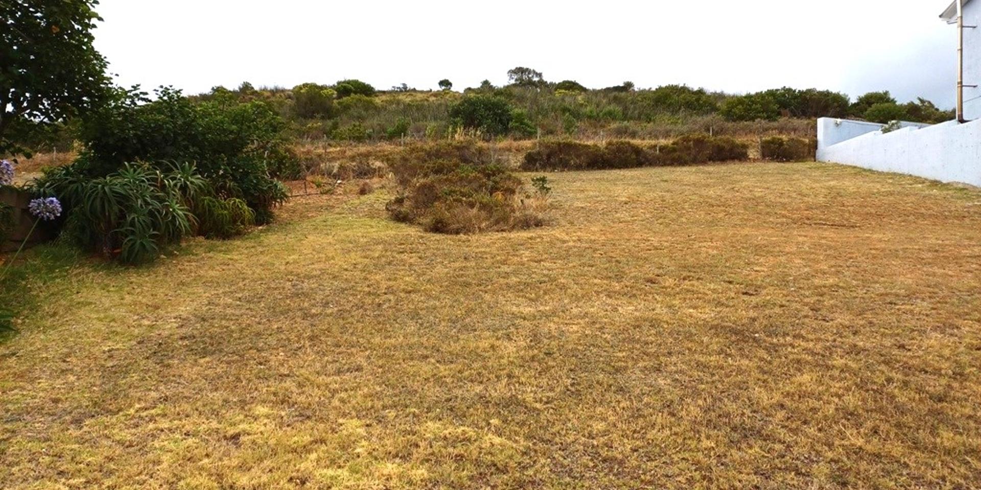 Image 5 of 6
