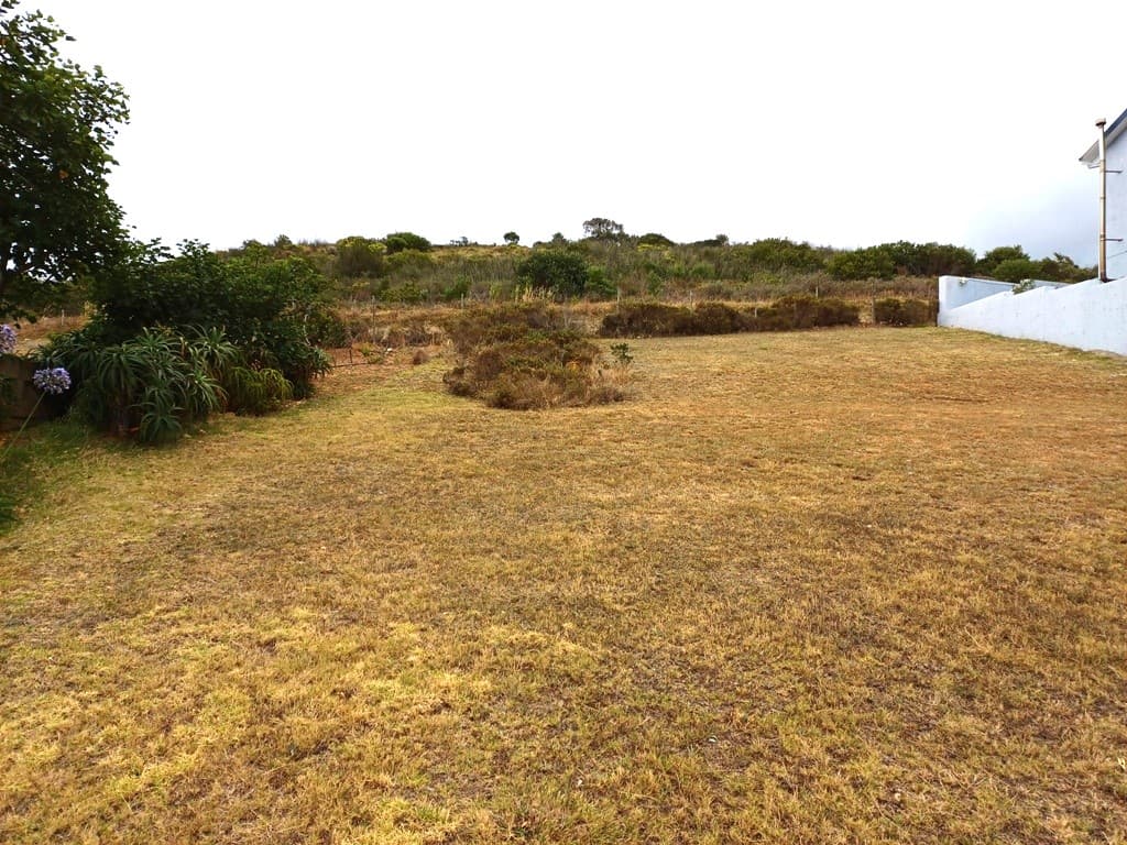 Image 5 of 6