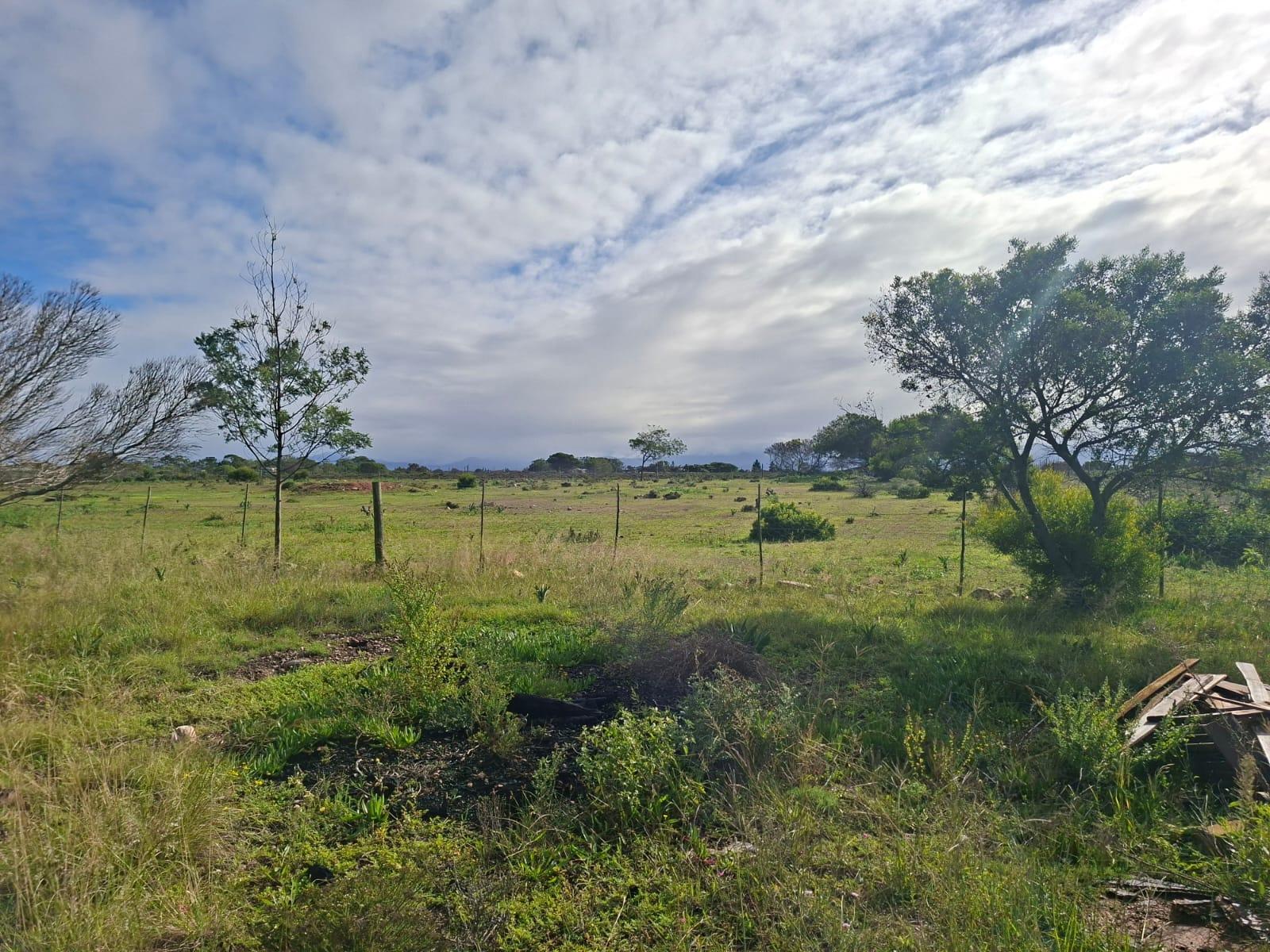 Image 4 of 6