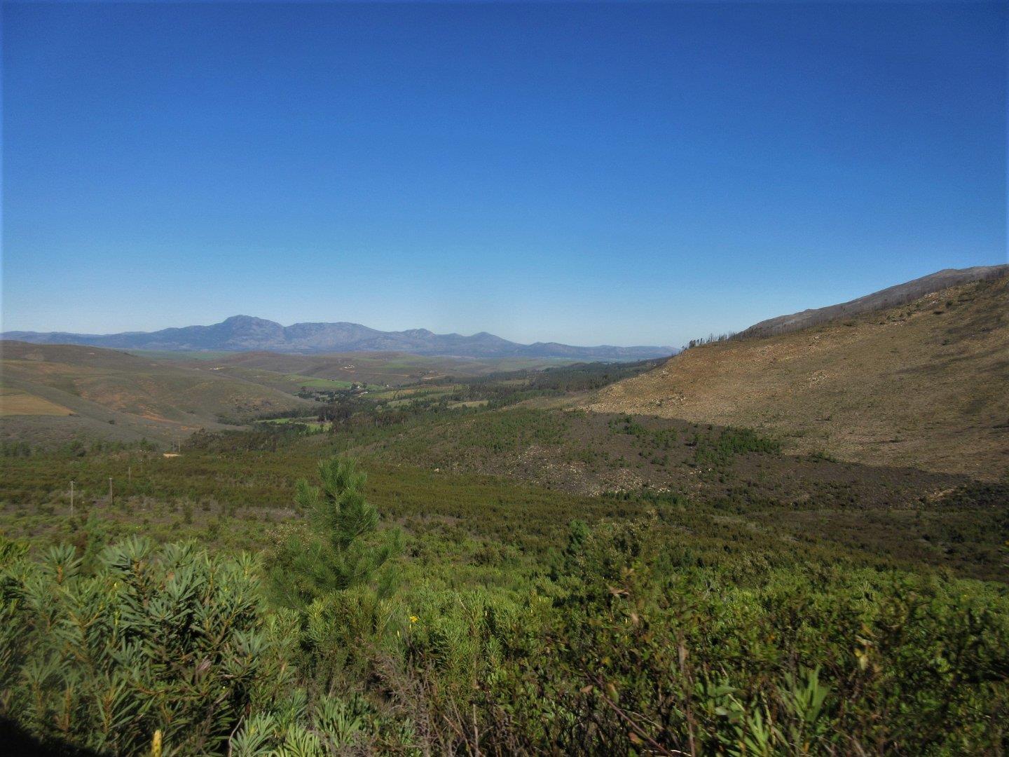 Image 12