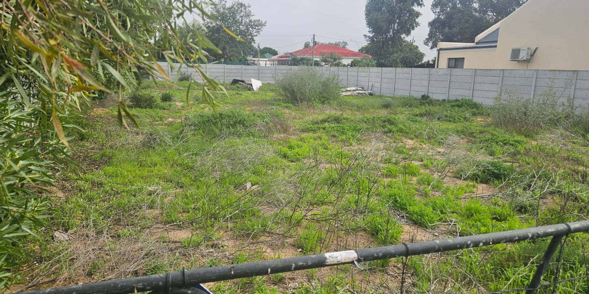 Image 4 of 6