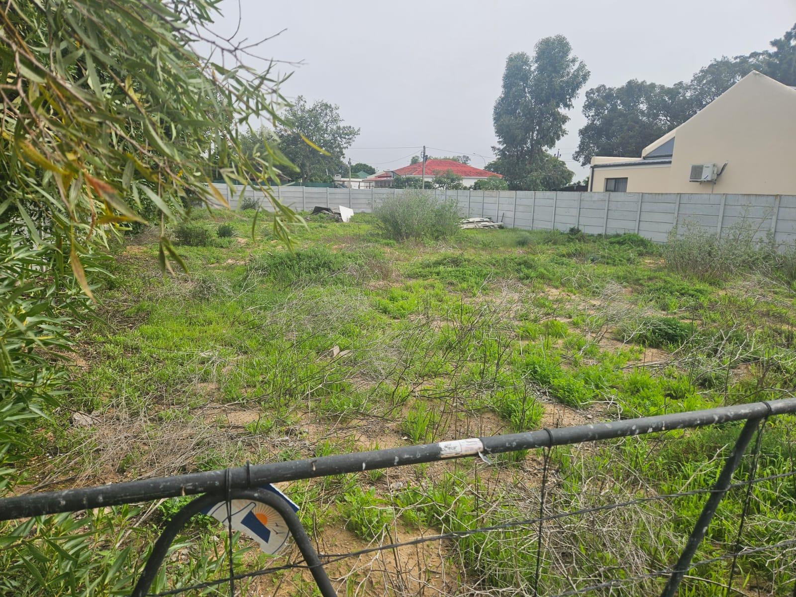 Image 4 of 6