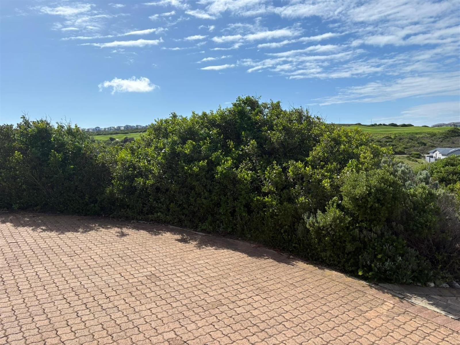 Image 5 of 6