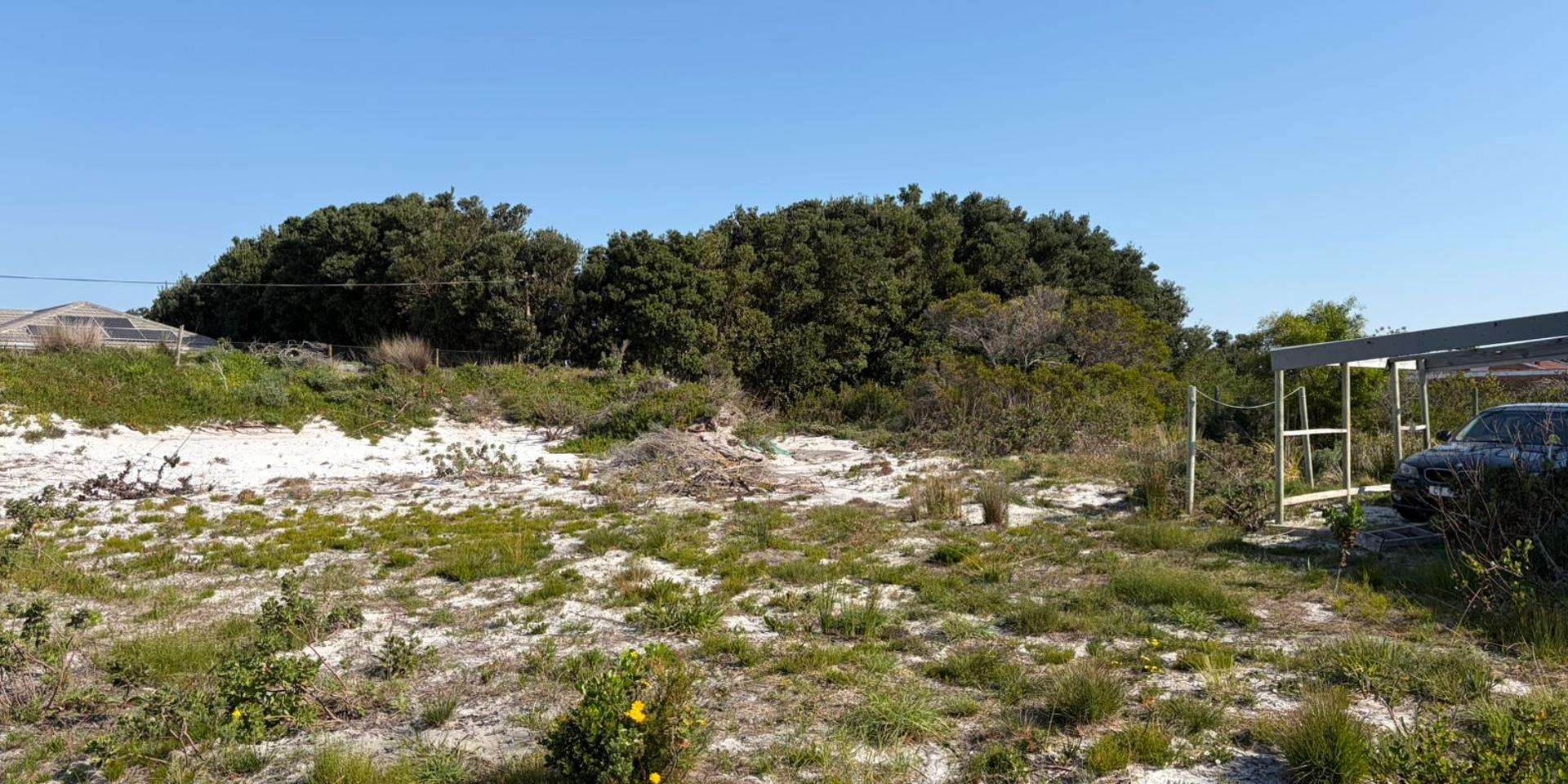 Image 5 of 6