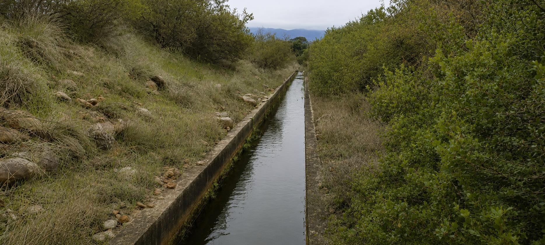 Image 50