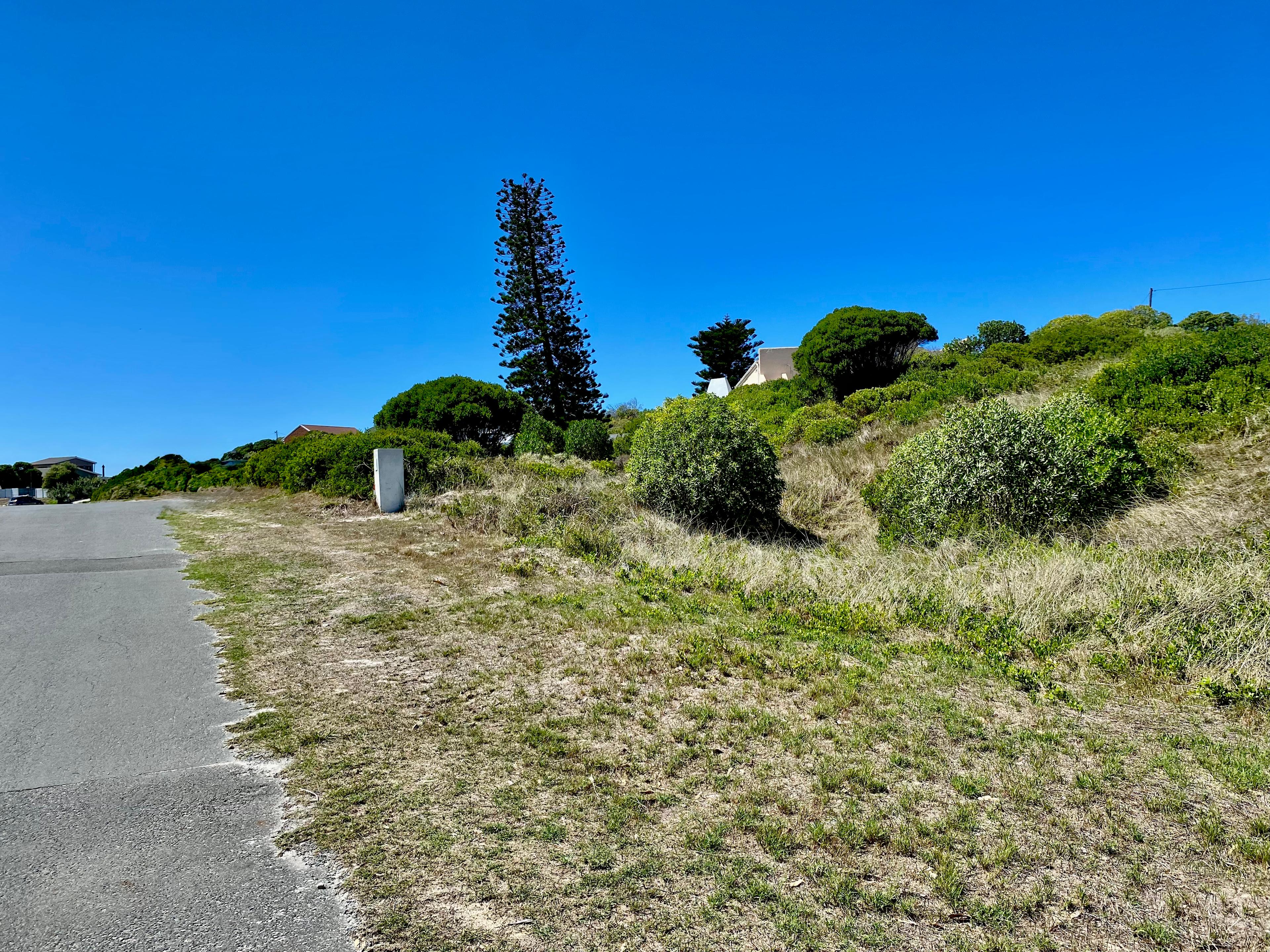 Image 2 of 6
