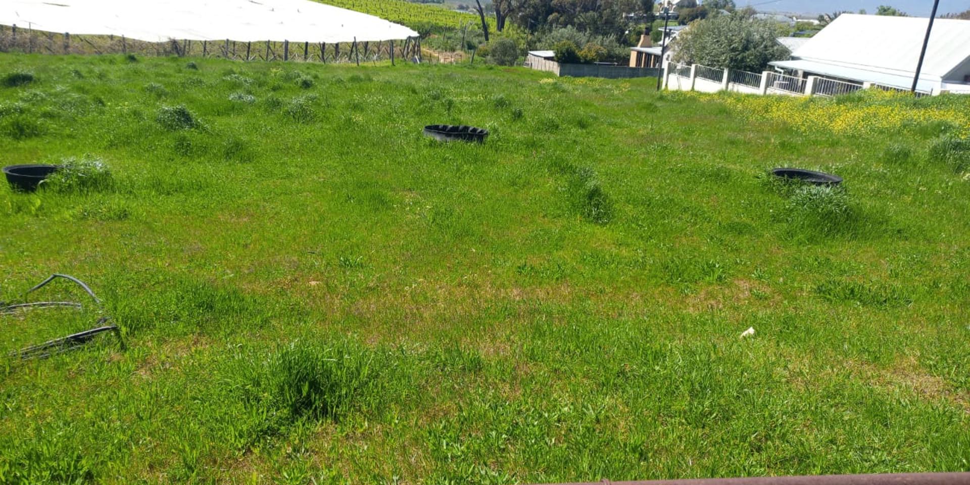 Image 5 of 6