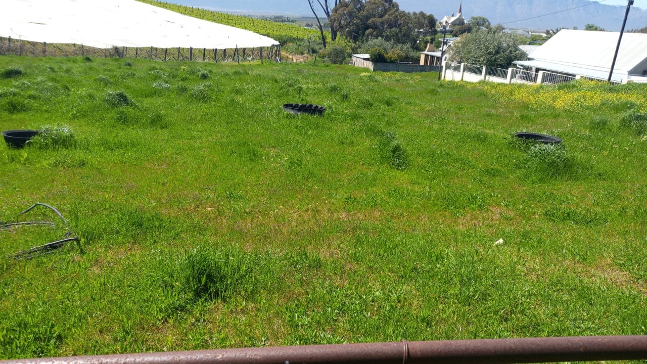 Image 5 of 6