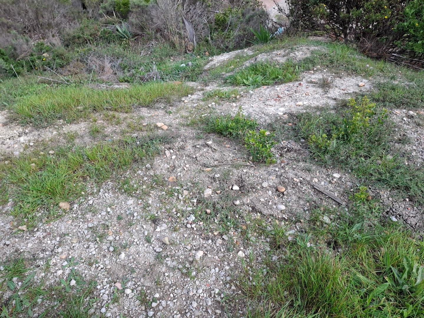 Image 5 of 6