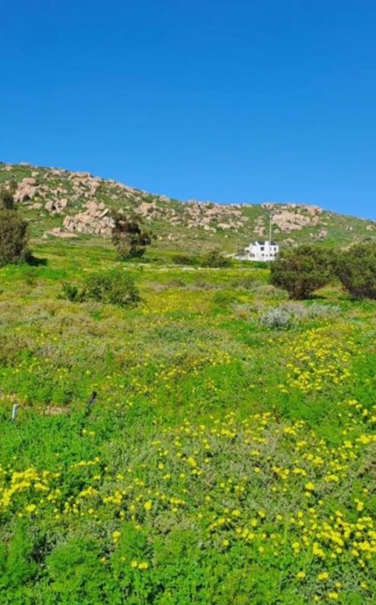 Image 4 of 6