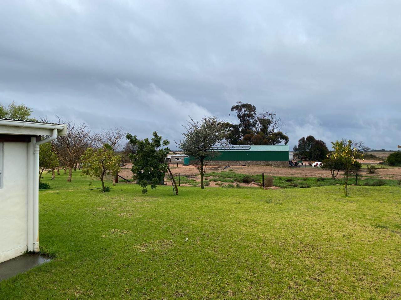 Image 10