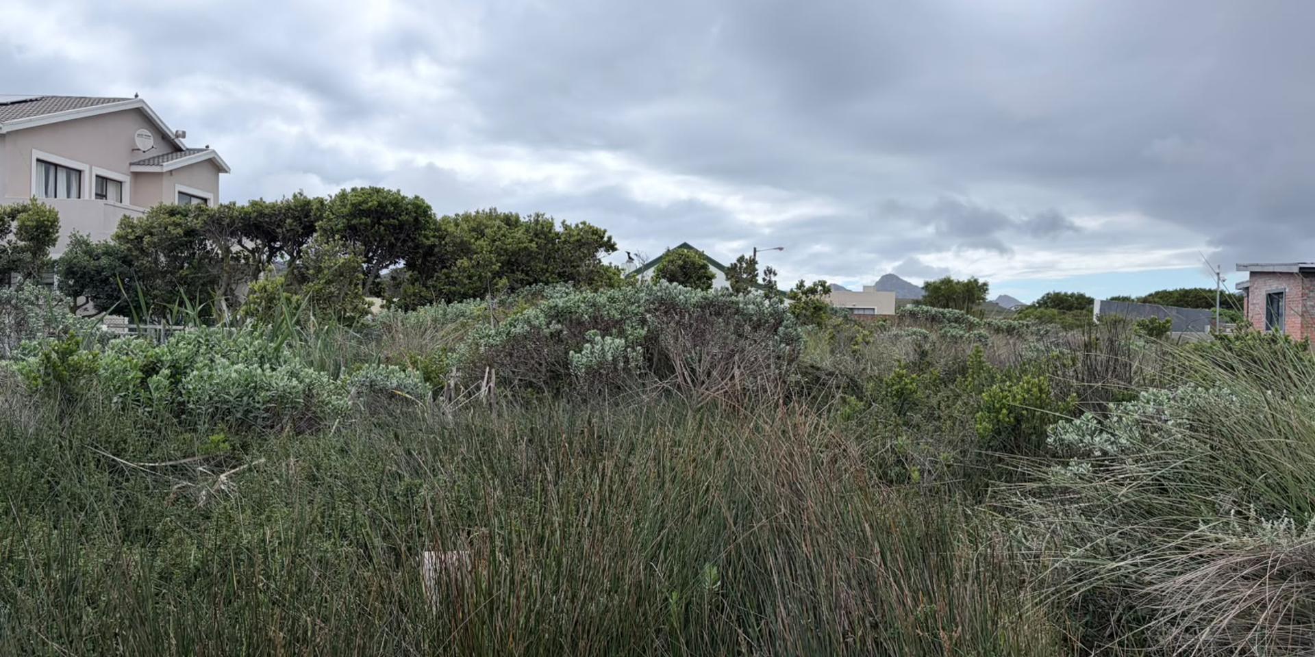Image 4 of 6