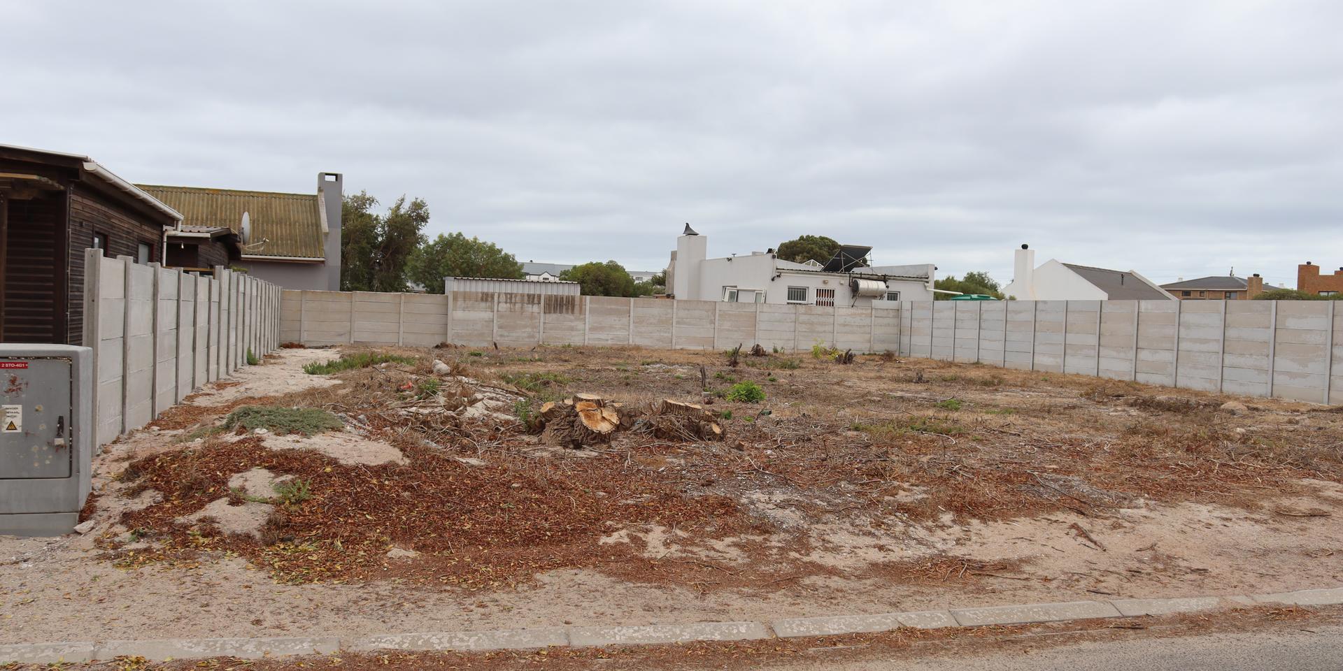 Image 5 of 6