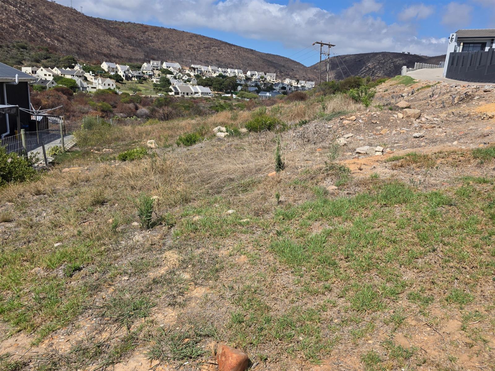 Image 15