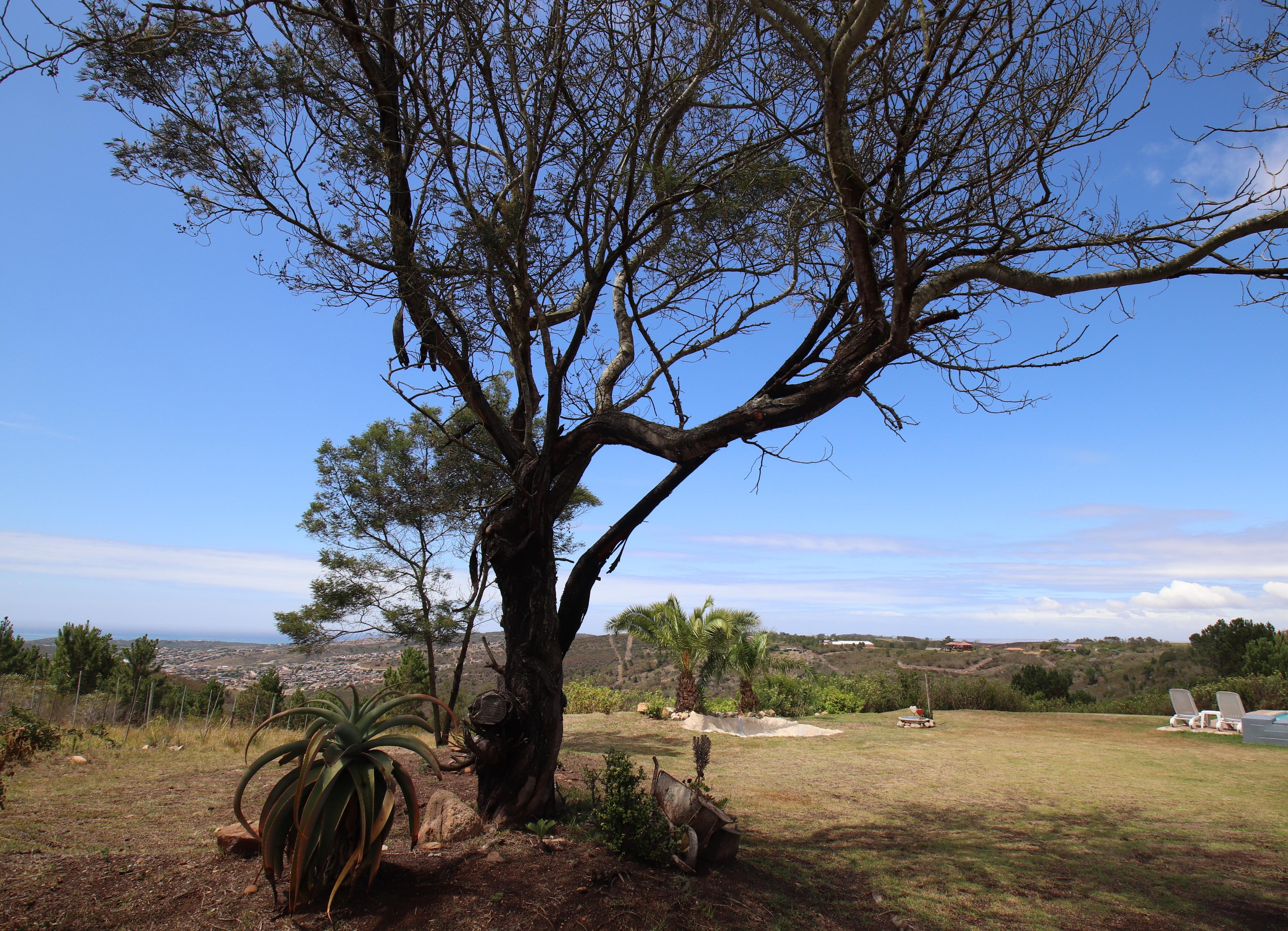 Image 4 of 6