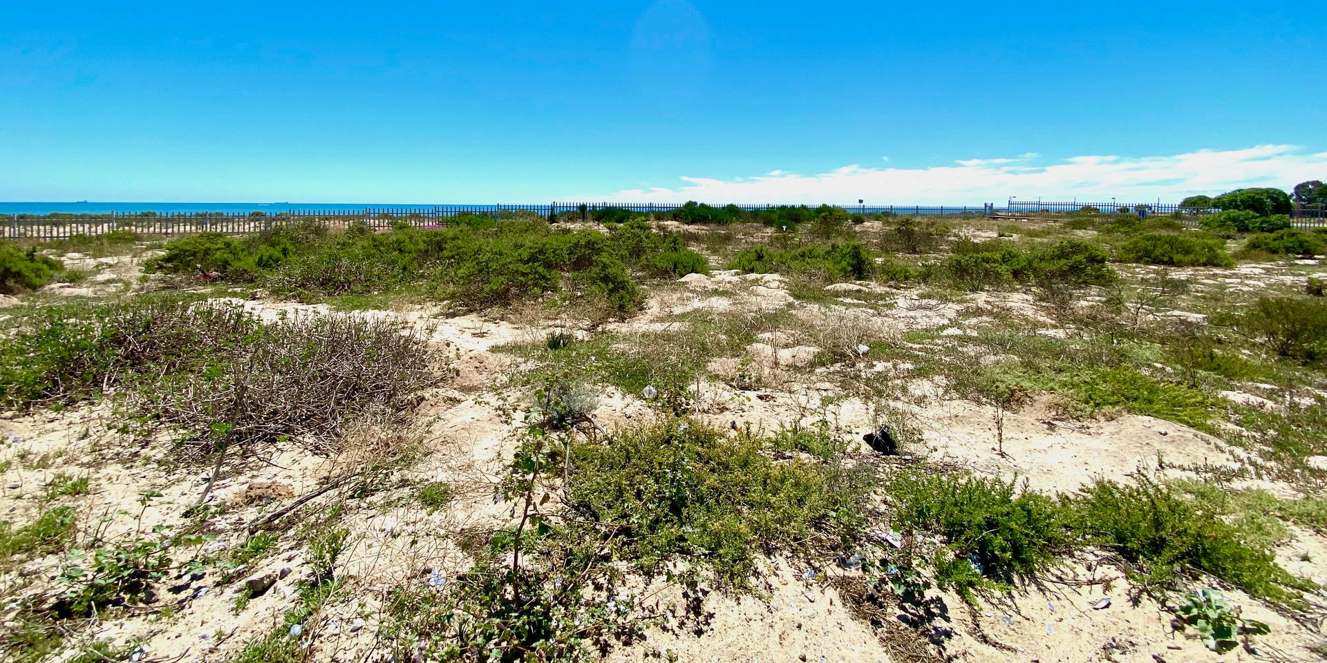 Image 5 of 6