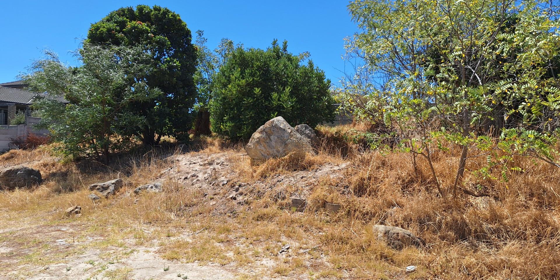Image 5 of 6