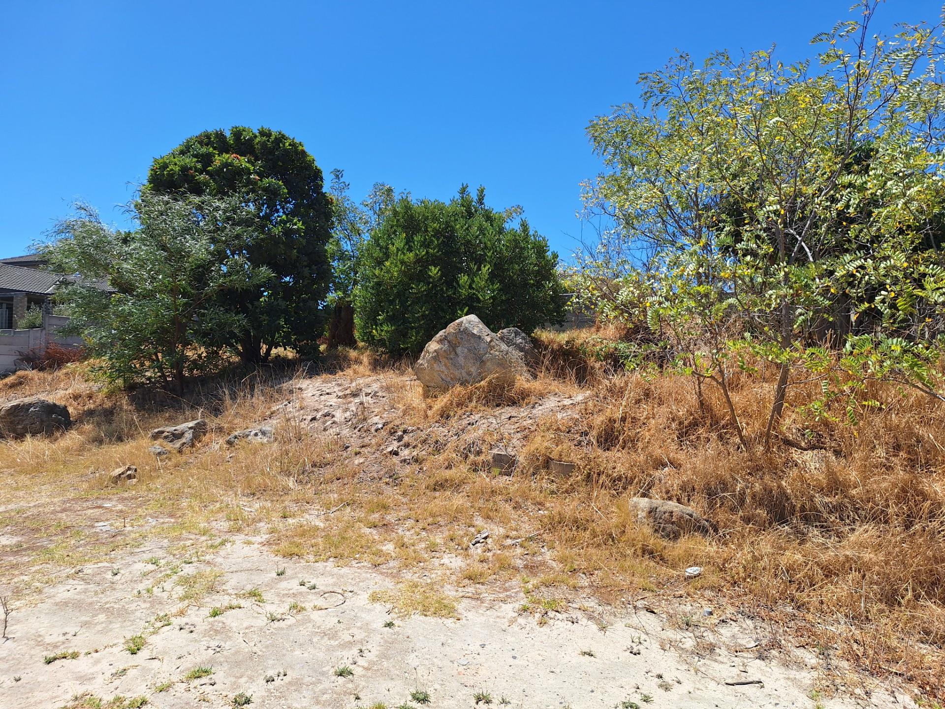 Image 5 of 6