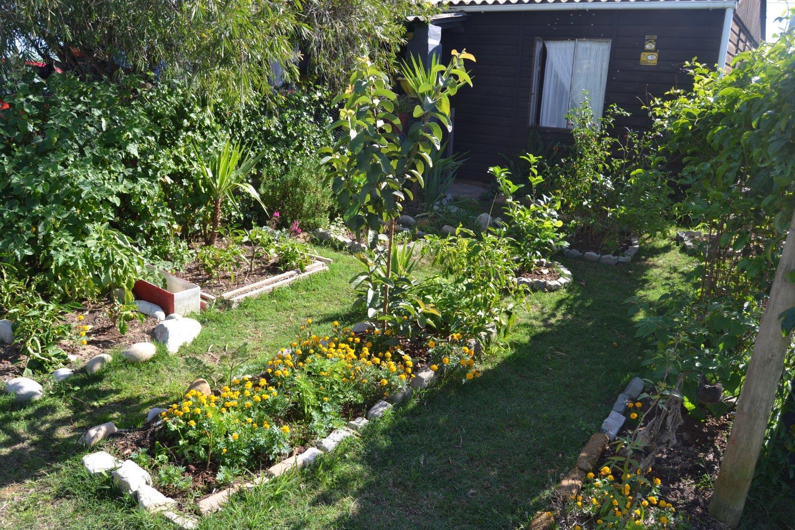 Image 12