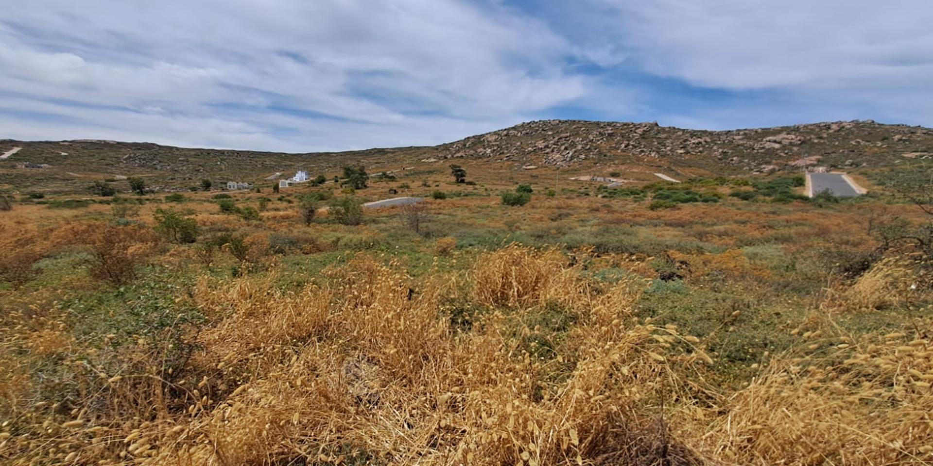 Image 5 of 6