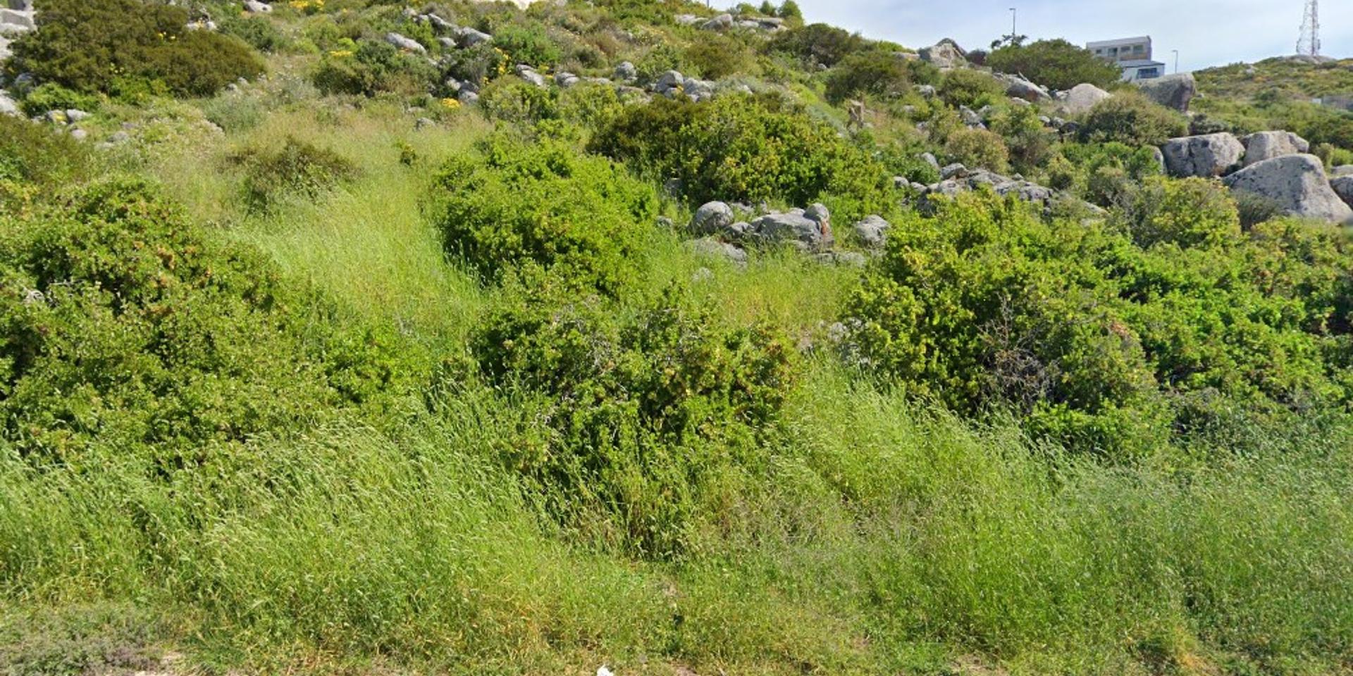 Image 2 of 6