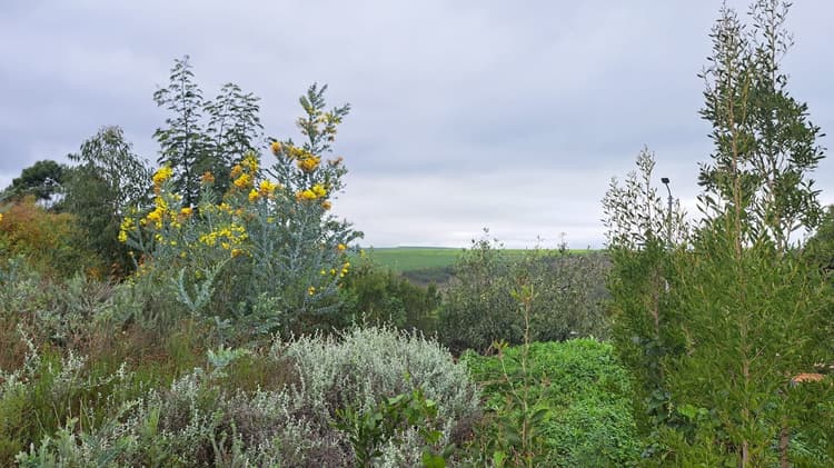 Main property image