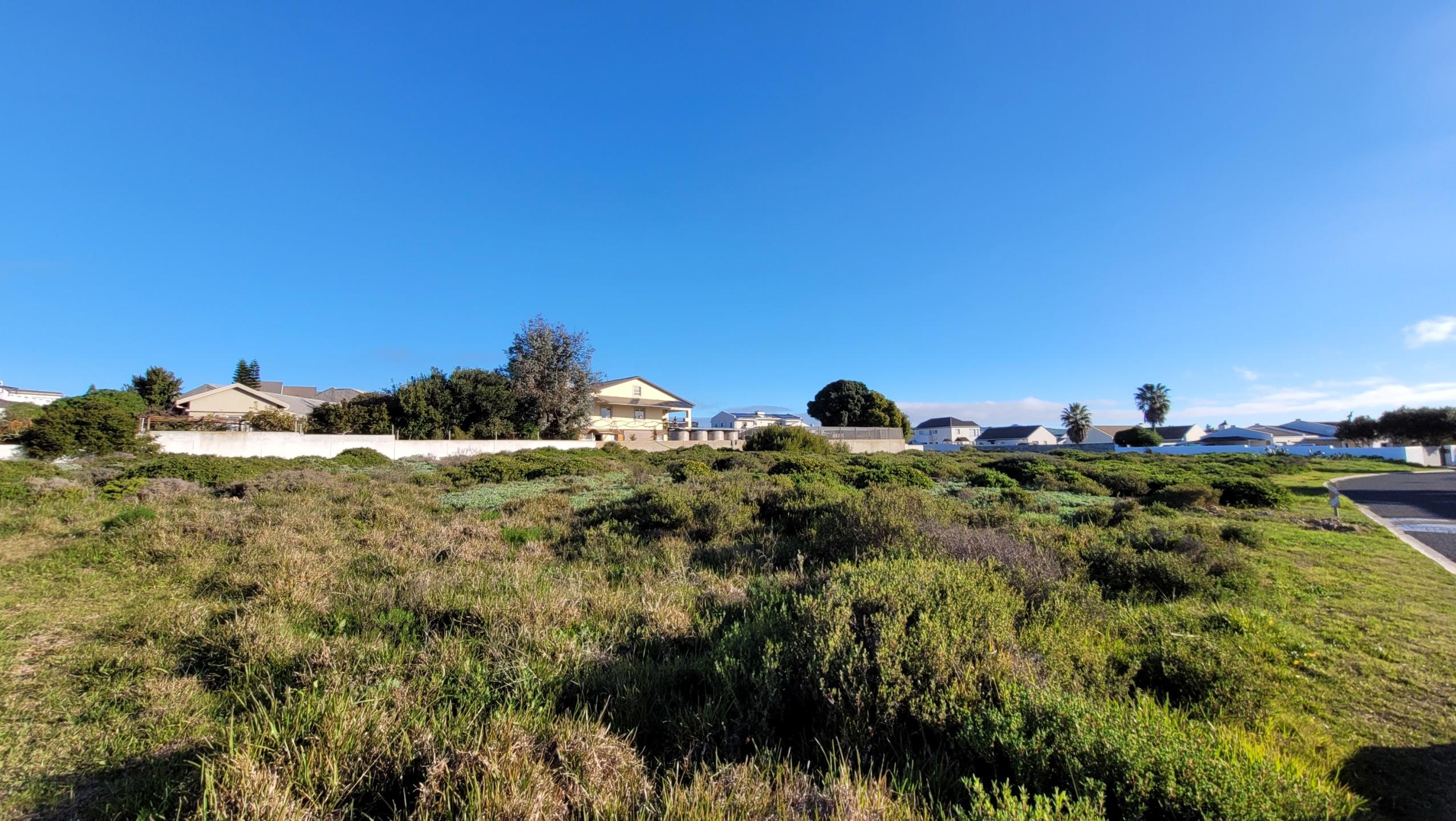 Image 12