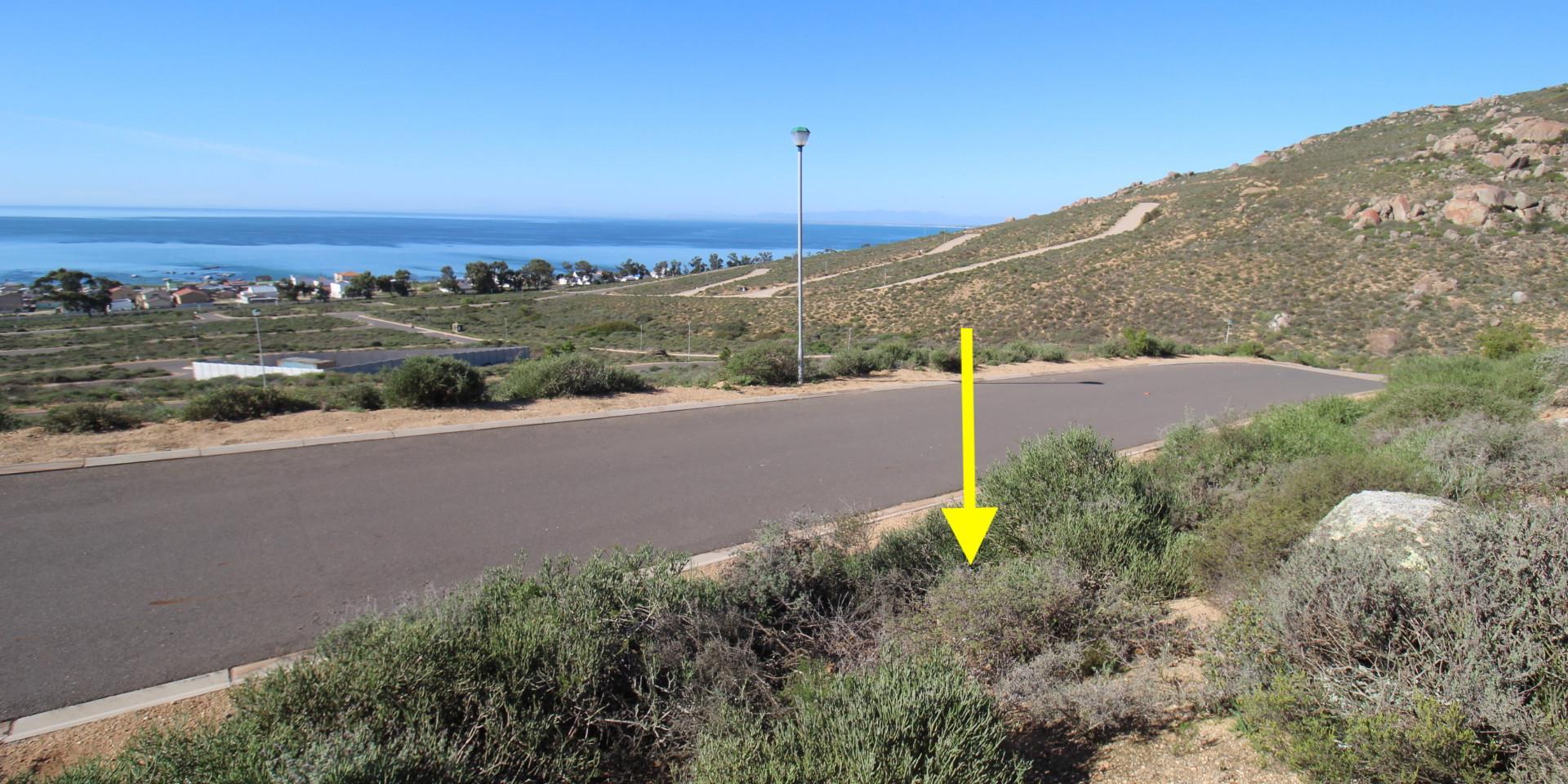 Image 4 of 6