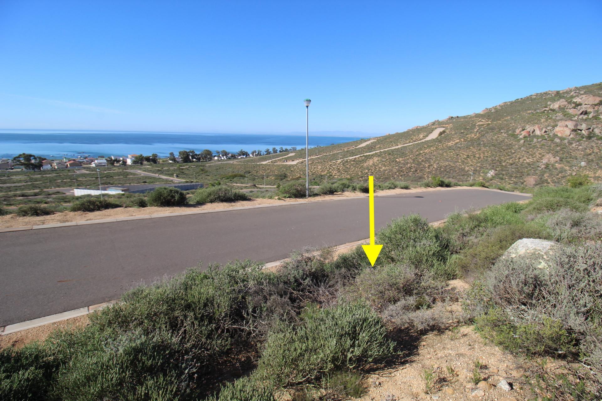Image 4 of 6