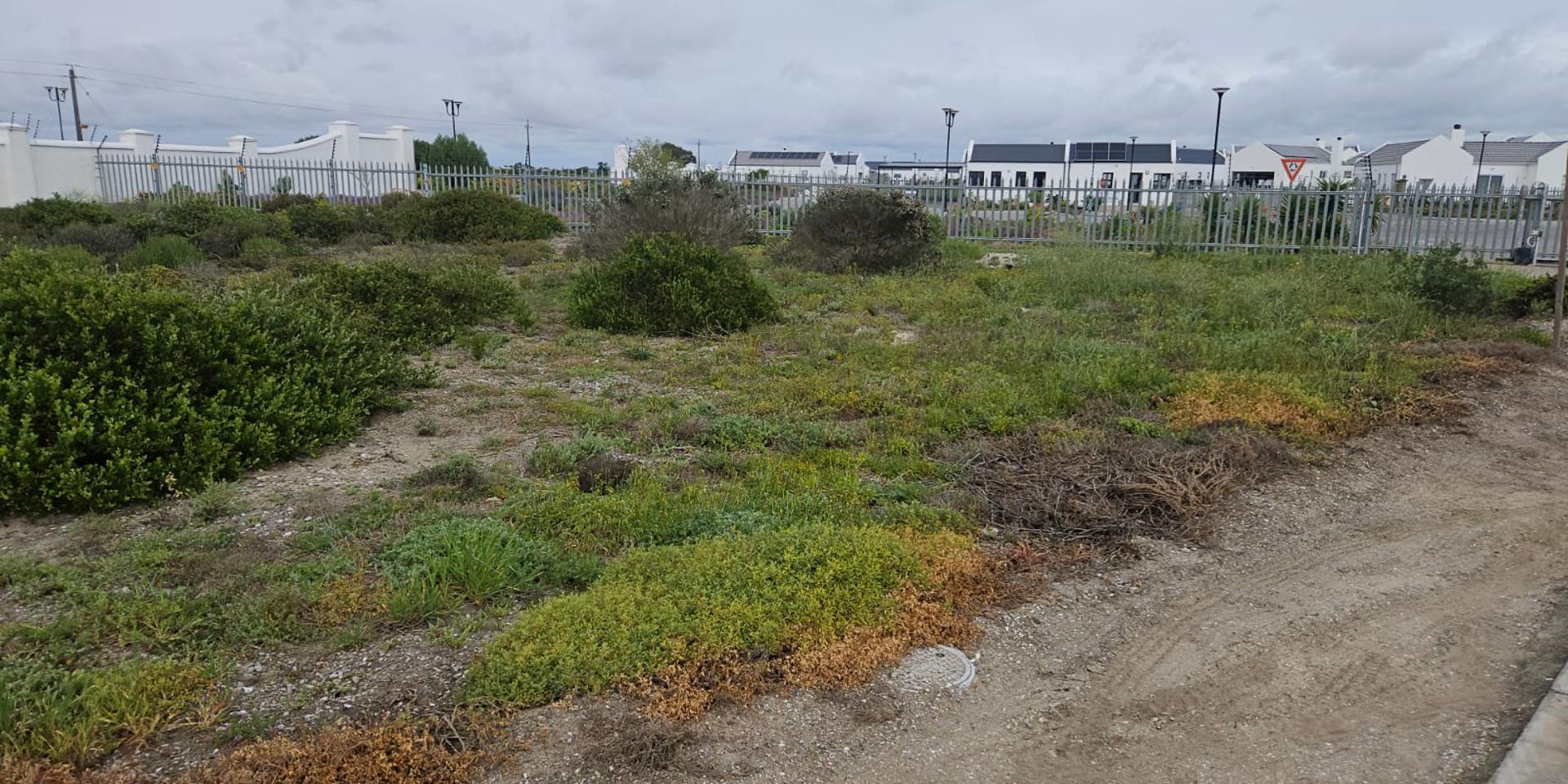 Image 5 of 6