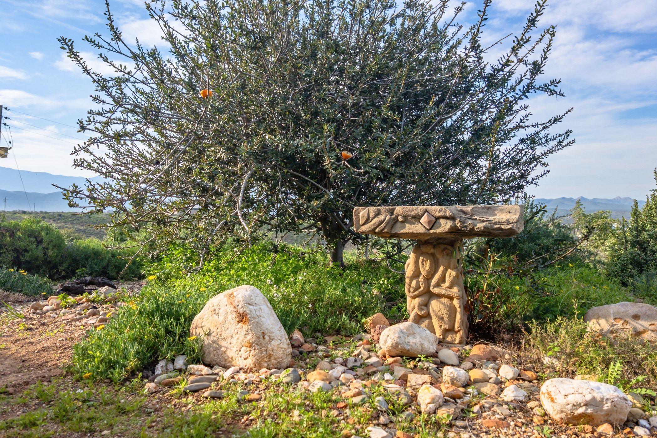 Image 38