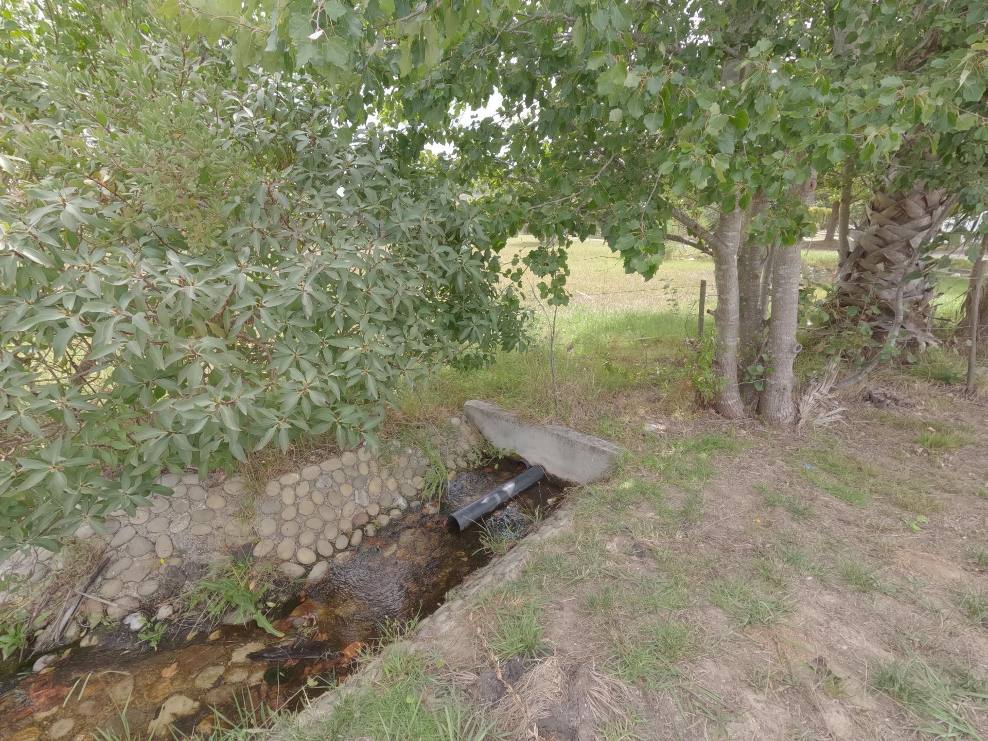 Image 19