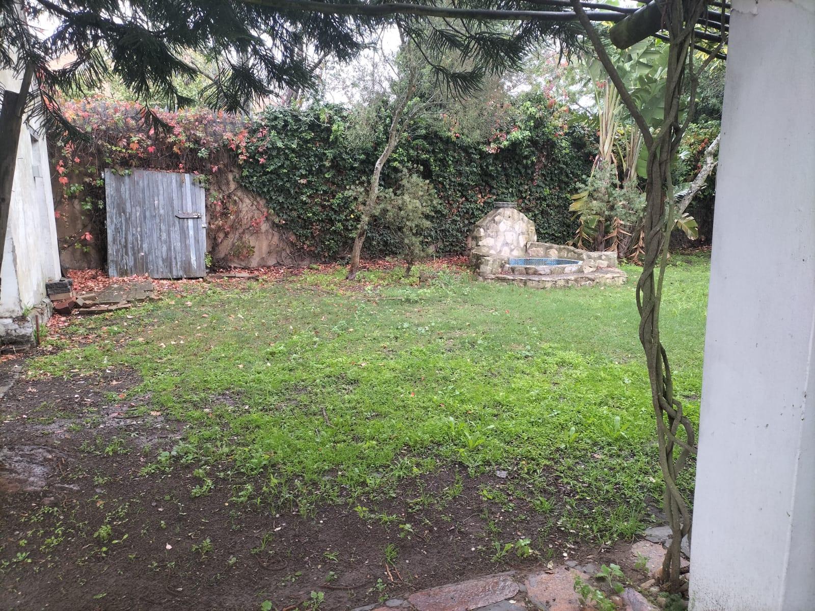 Image 25