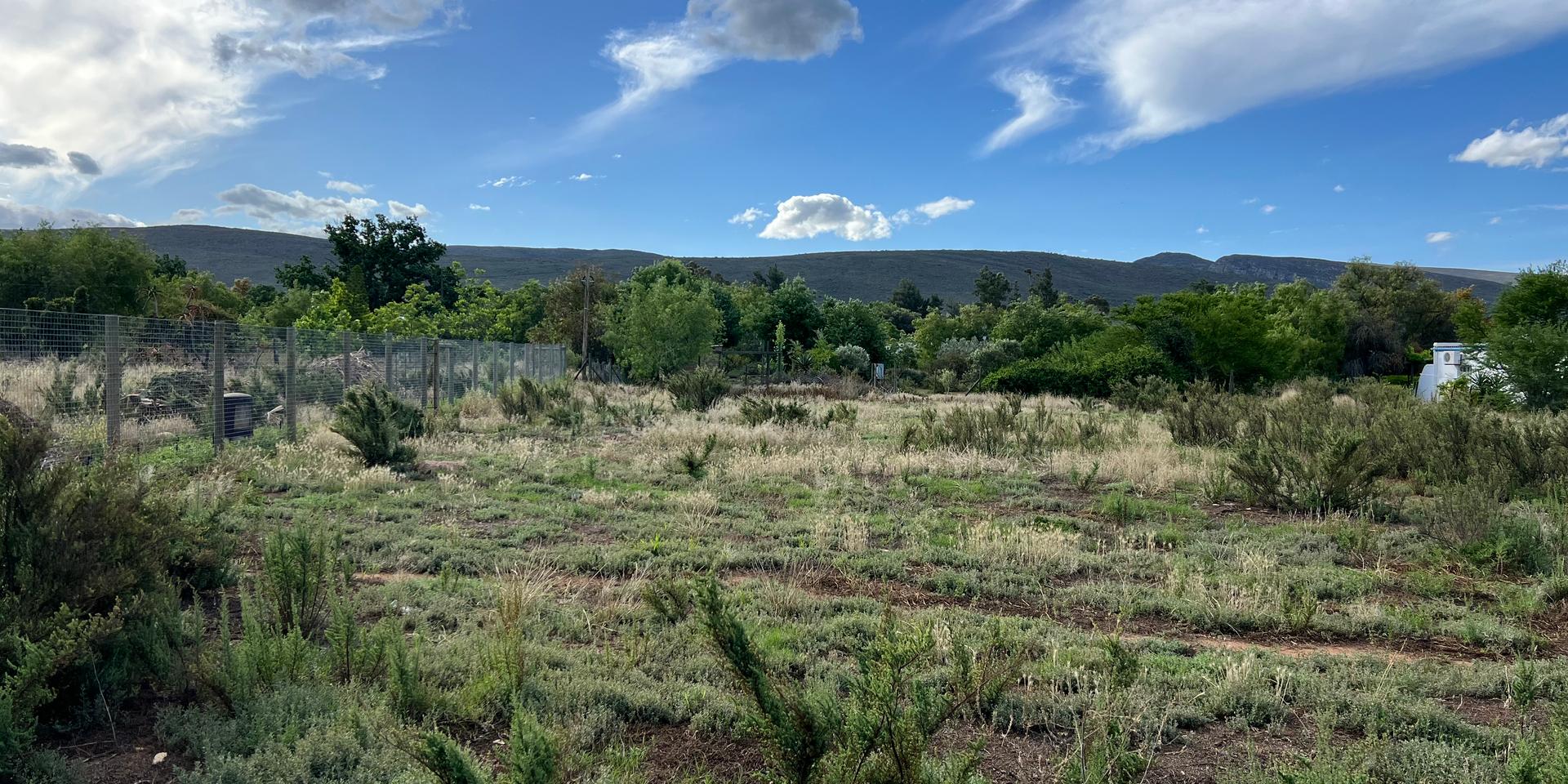Image 4 of 6