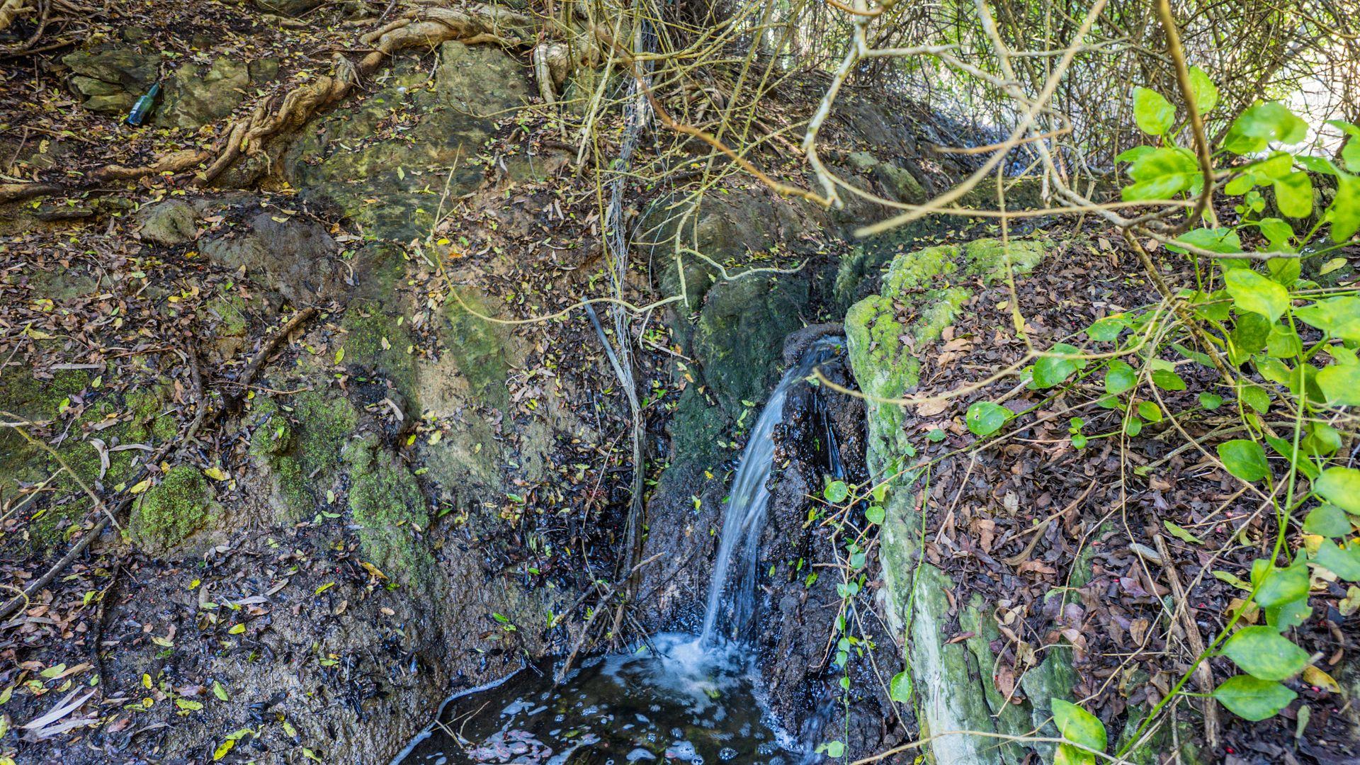 Image 28