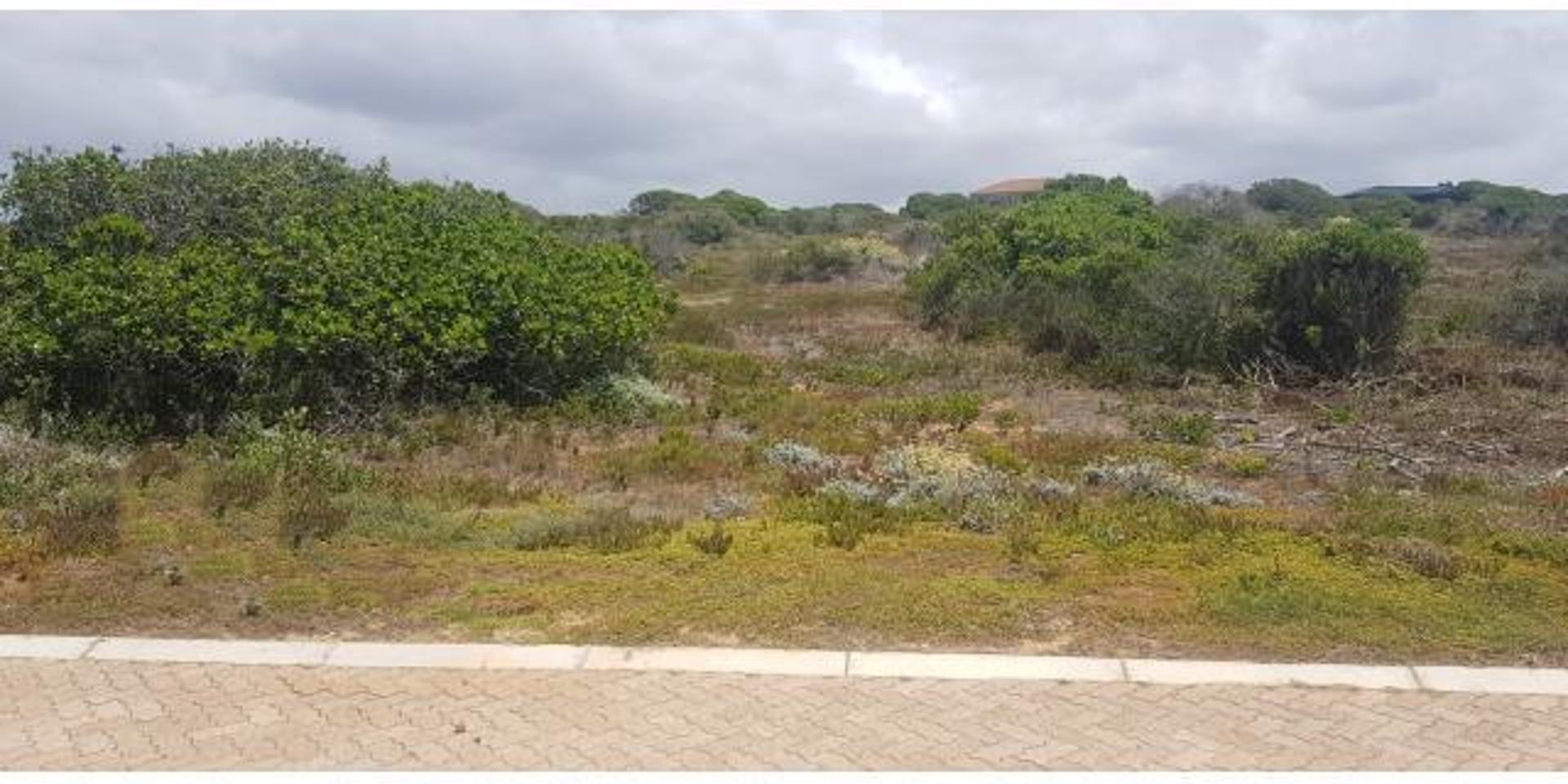 Image 4 of 6