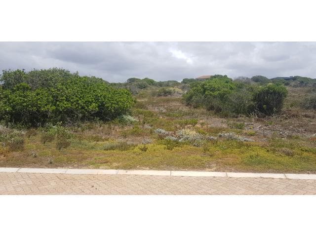 Image 4 of 6