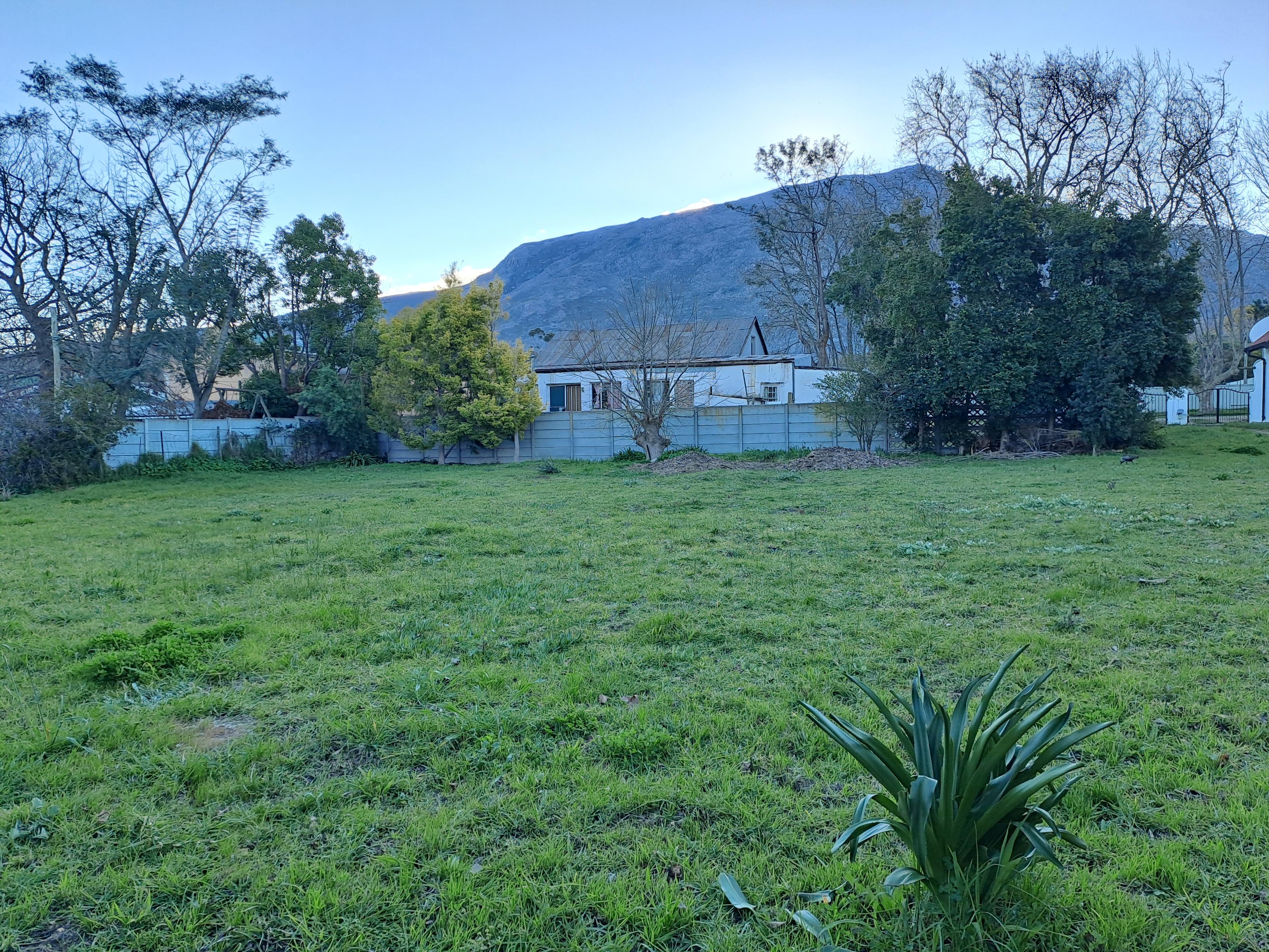 Image 8