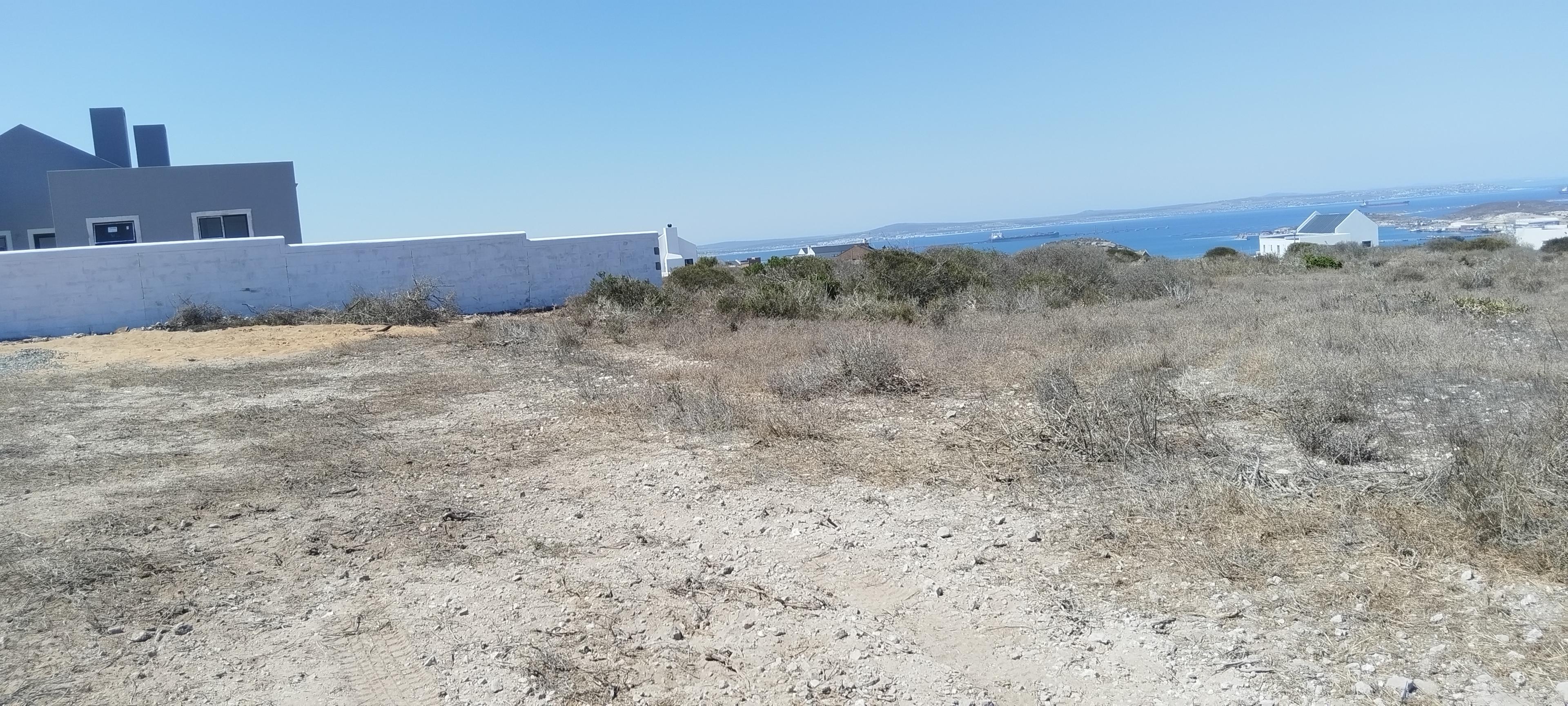 Image 6