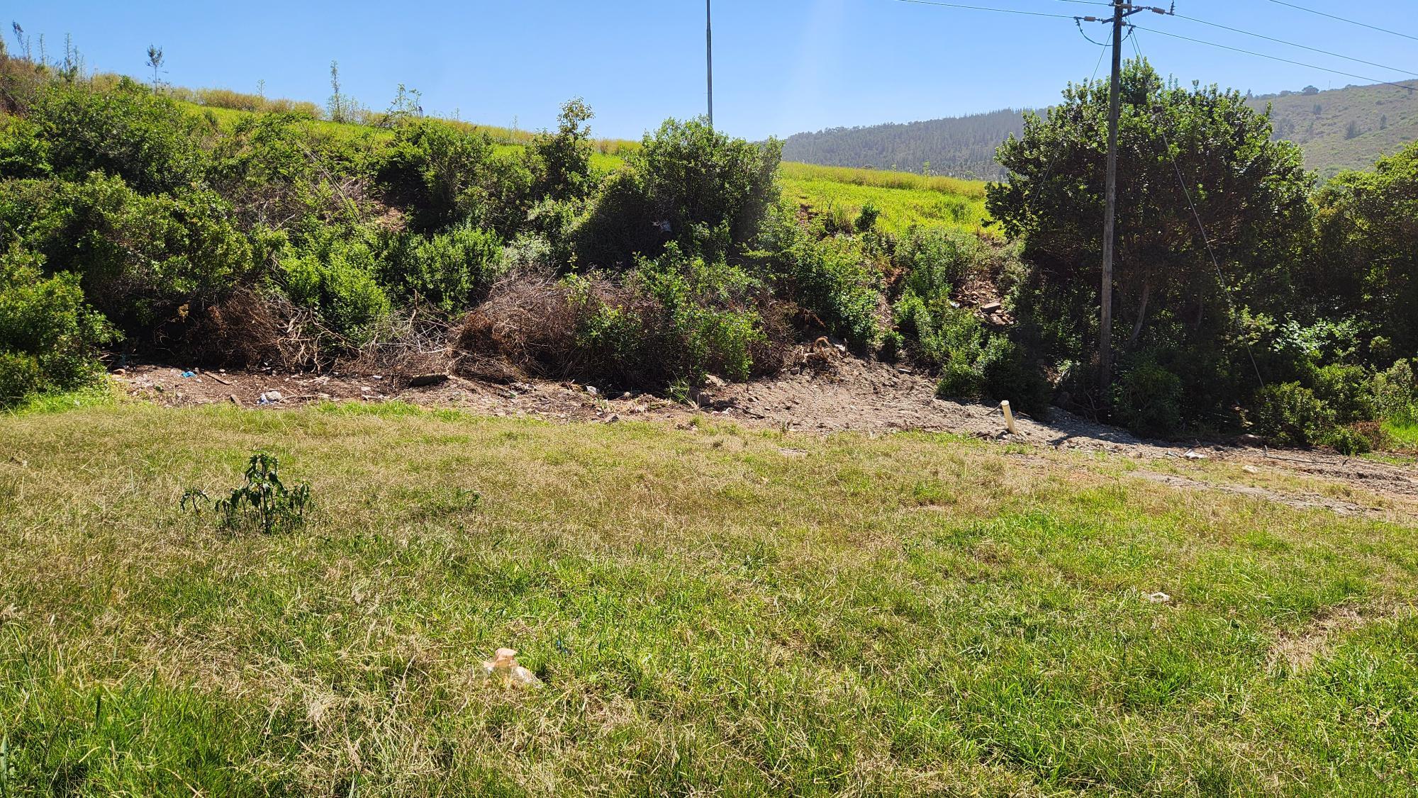 Image 4 of 6