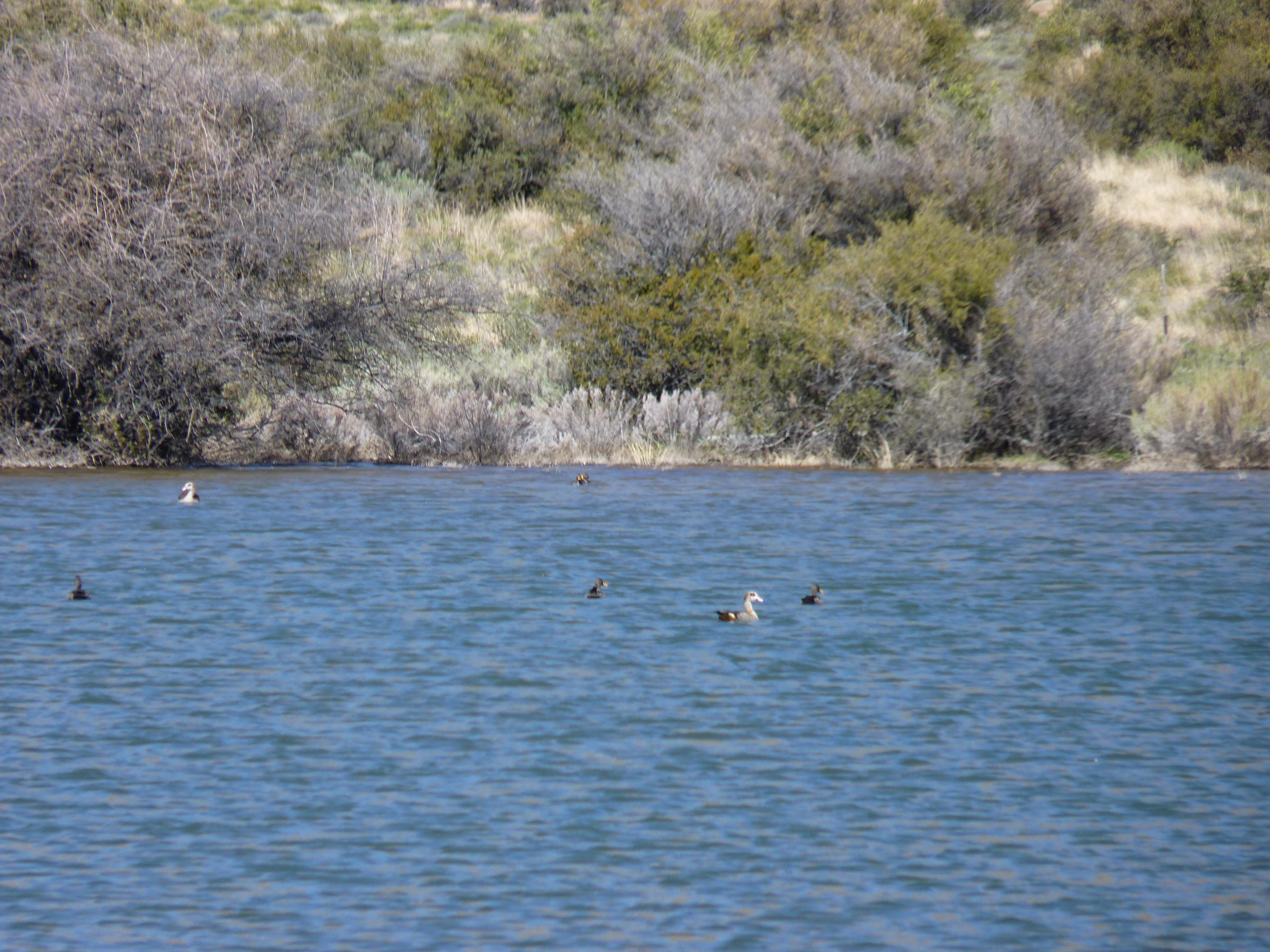 Image 87