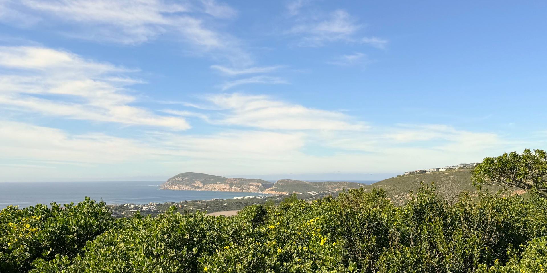 Image 4 of 6