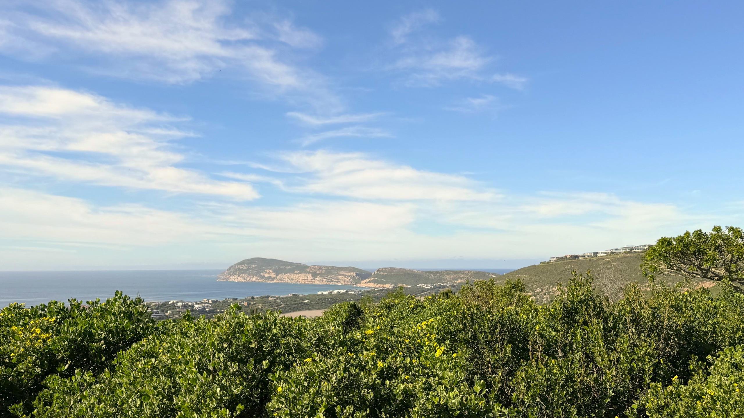 Image 4 of 6