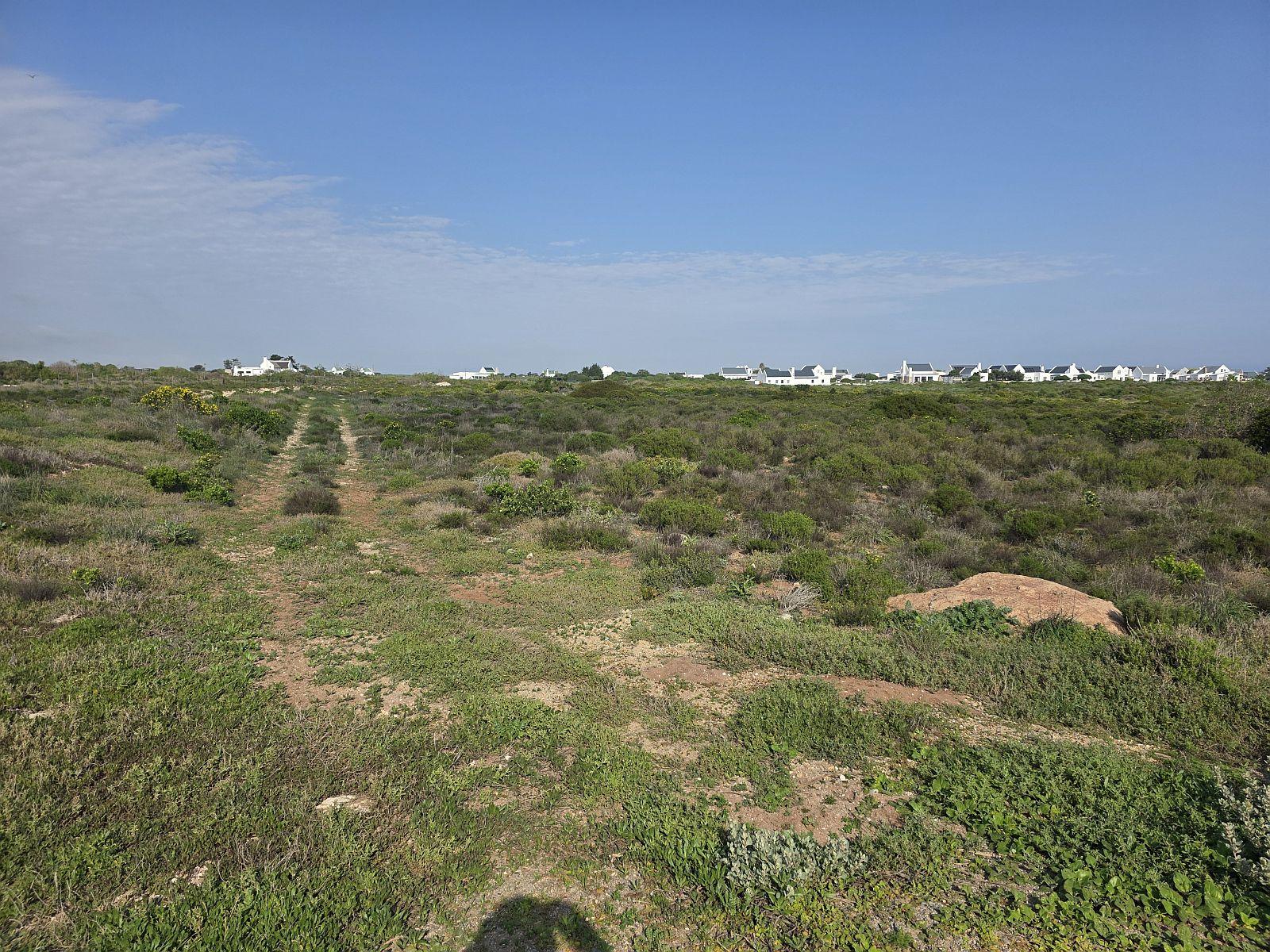 Image 12